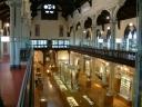 Hunterian muzeum